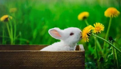 奥萨苏纳球员状态不佳，劣势明显与对手战成平局